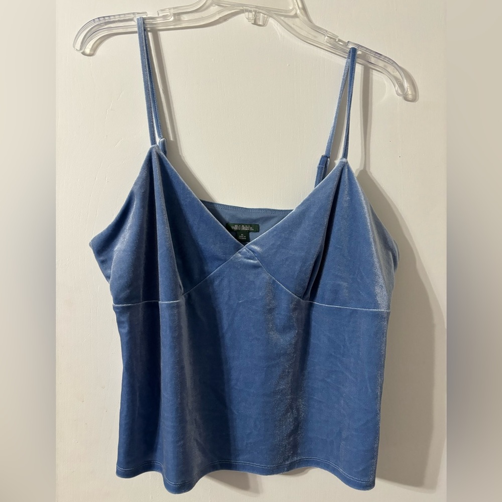 Wild Fable Blue Velvet Crop Top